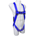 Dentec safety harness and lanyard combo